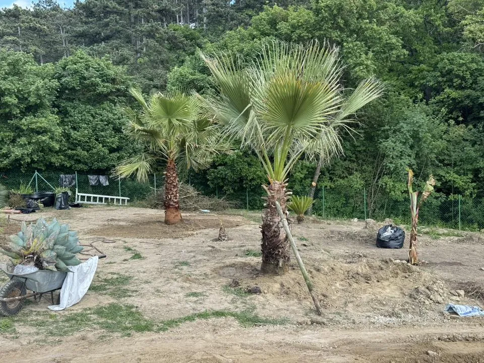 Gépi földmunka projekt 22