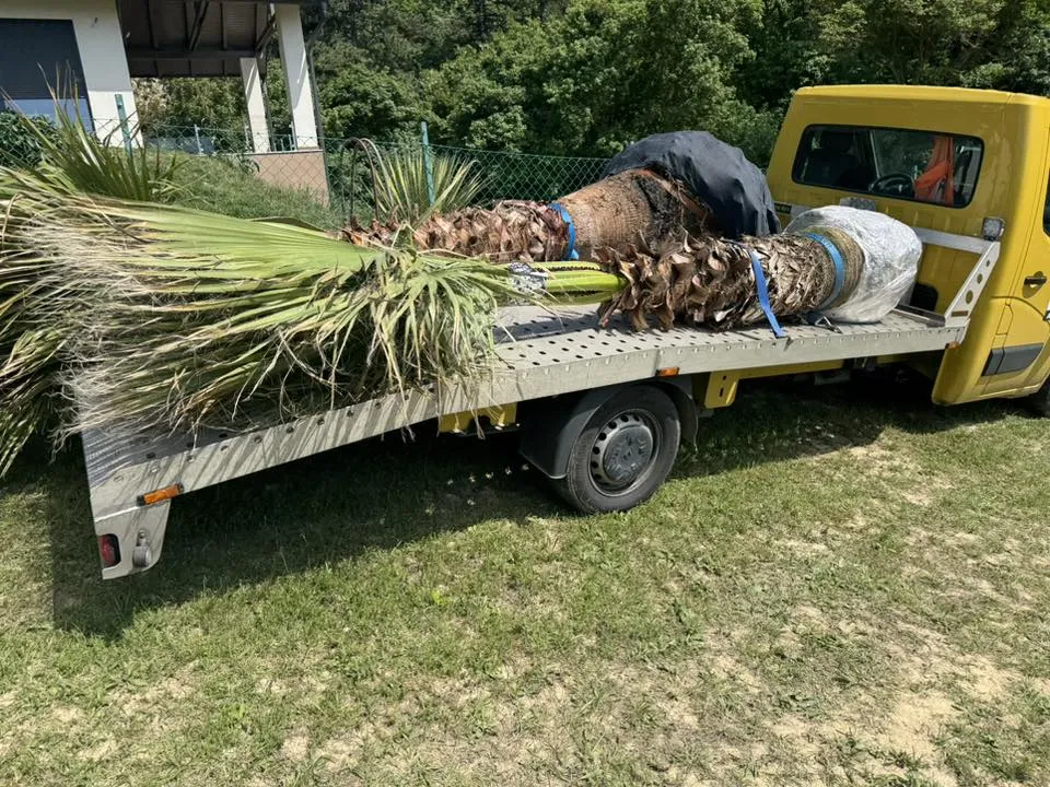 Gépi földmunka projekt 23