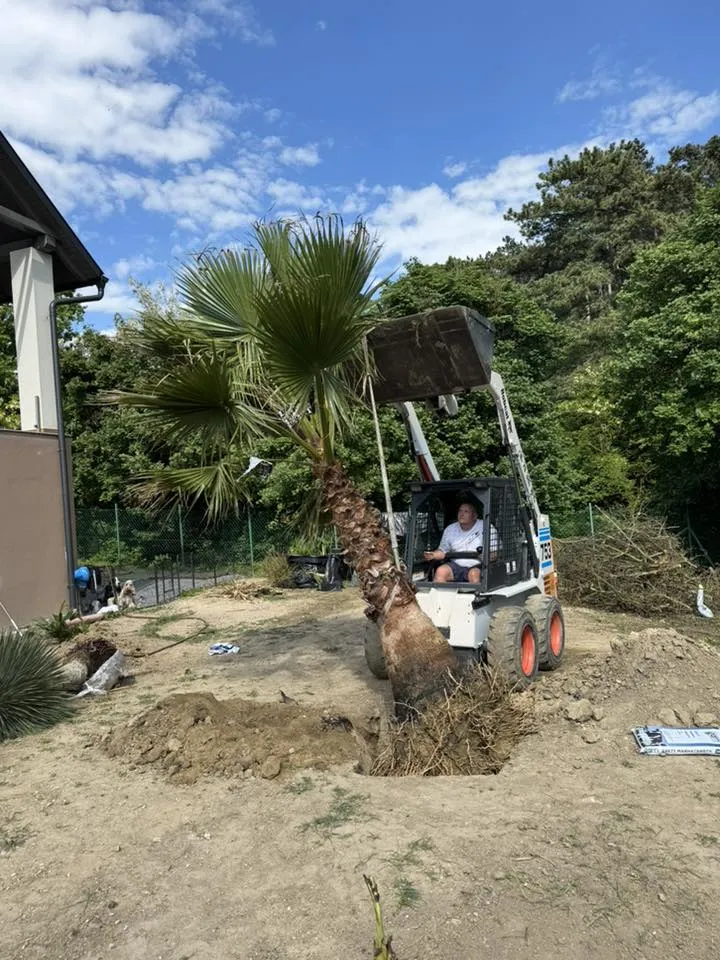 Gépi földmunka projekt 24