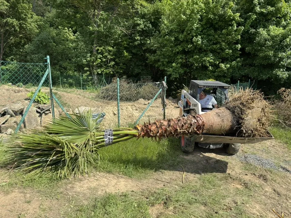 Gépi földmunka projekt 25